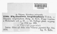 Phyllosticta crepidophora image